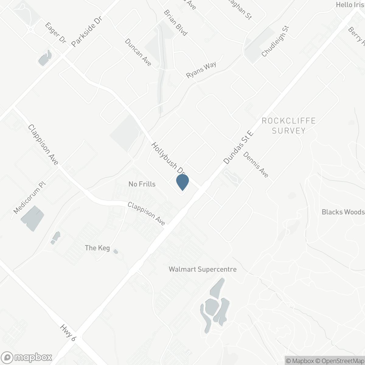 29 SLATER COURT, Hamilton, Ontario L0R 2H5